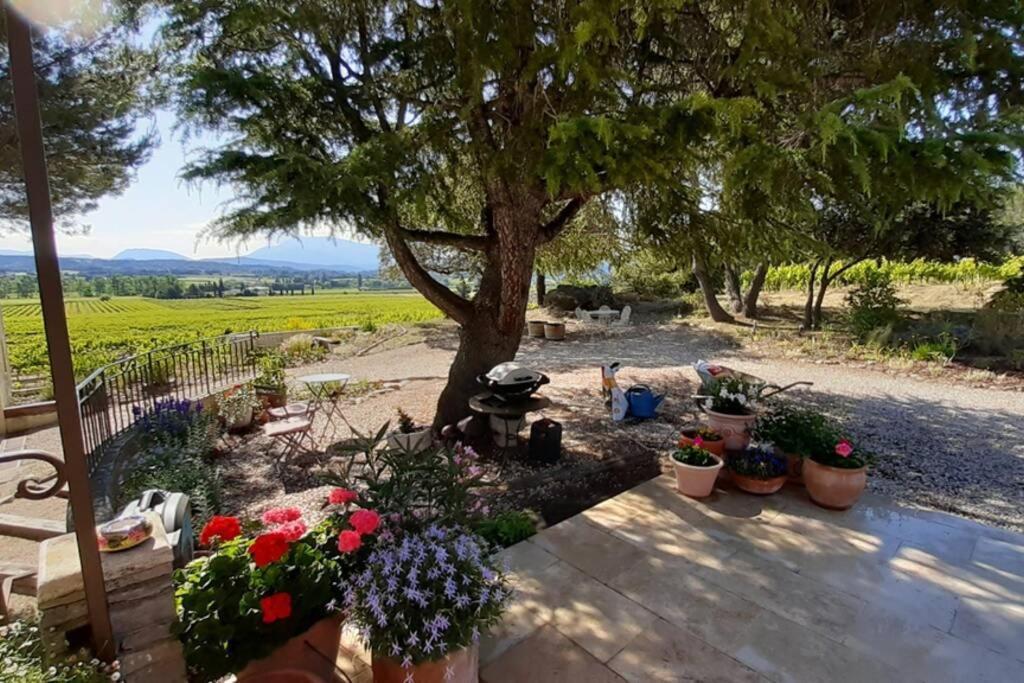 Le Clos Des Pins, Vue Mont Ventoux Roaix Exterior photo
