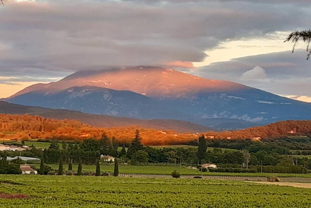 Le Clos Des Pins, Vue Mont Ventoux Roaix Exterior photo